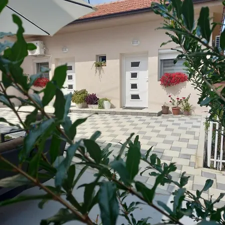 Leda Smederevo